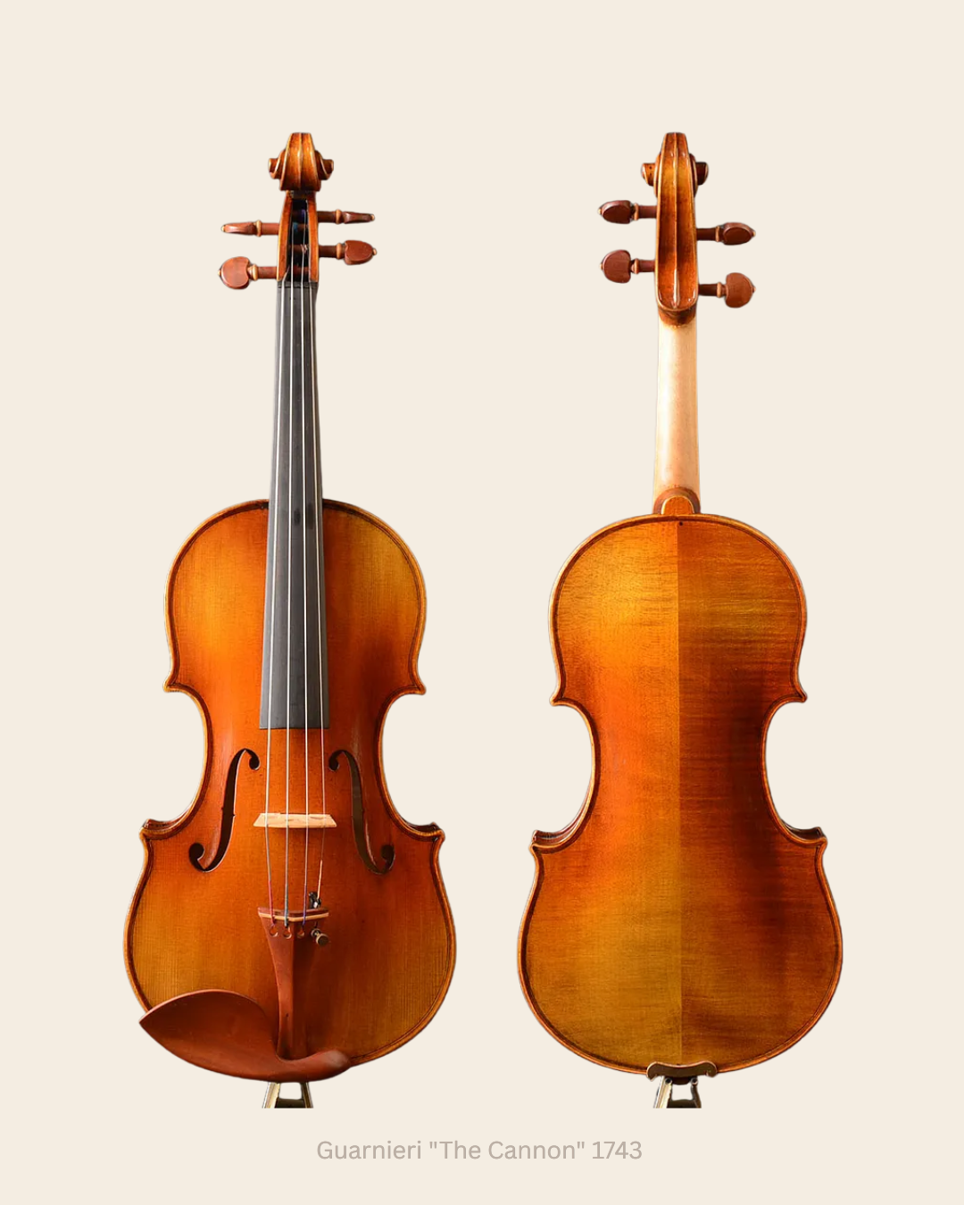 Violino Guarnieri The Cannon 1743